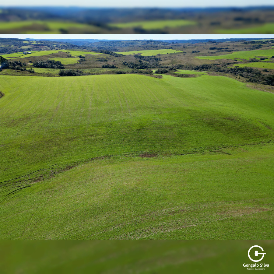 Área Rural com 90 Hectares em Esmeralda