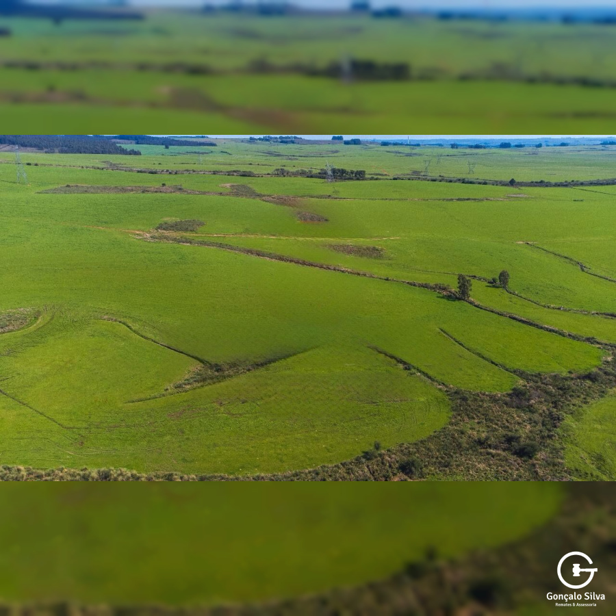 Fazenda com 900 Hectares em Candiota