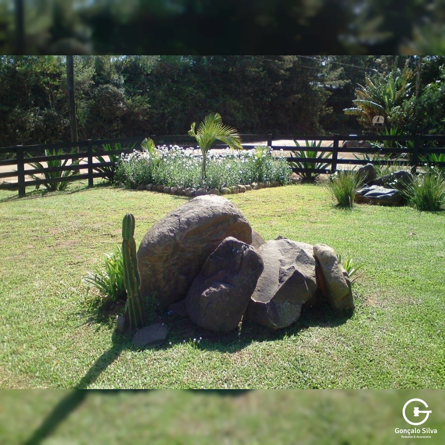 Área para Cabanha ou CT de 40 Hectares