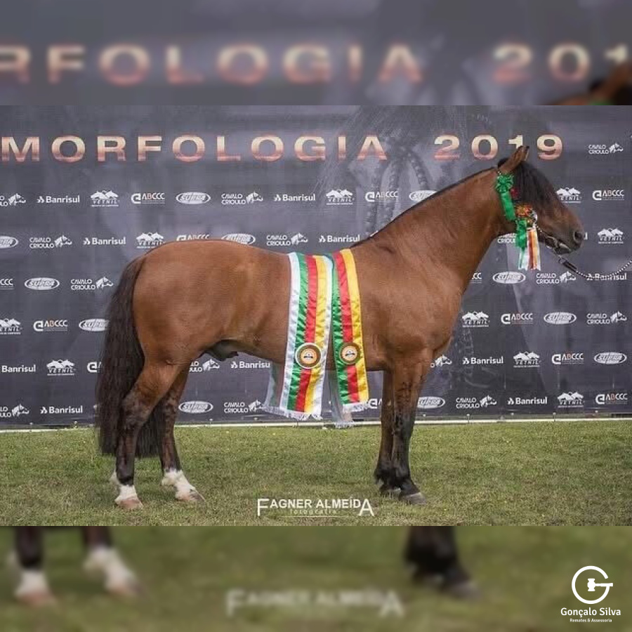 COBERTURA - MANO A MANO DO RAUNA 