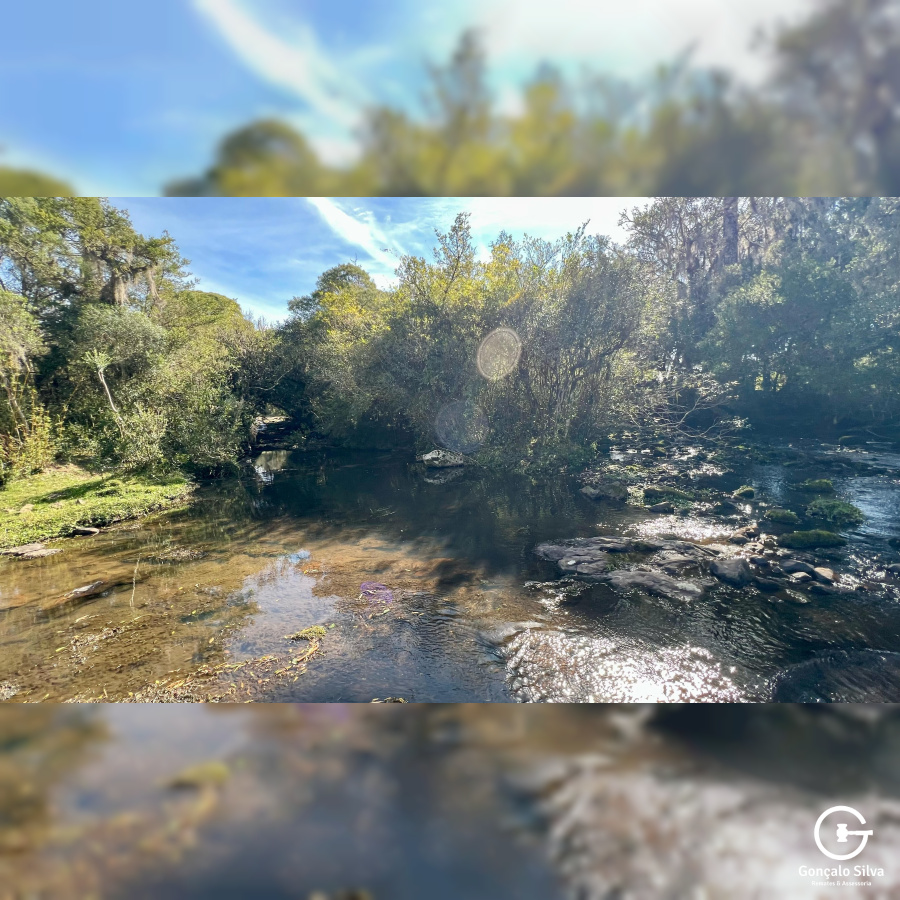 Fazenda com 425 Hectares em Caxias do Sul