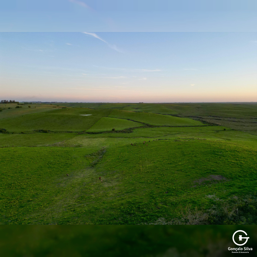 Fazenda com 410 Hectares em Bagé