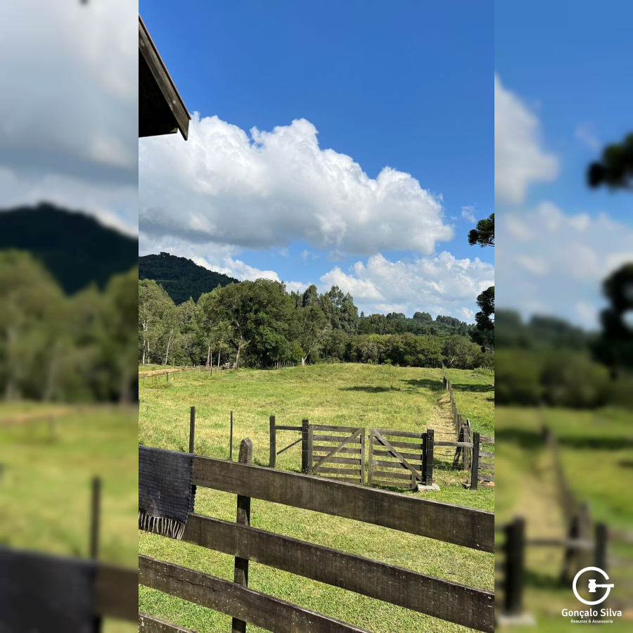 Chácara com 04 Hectares em Gramado