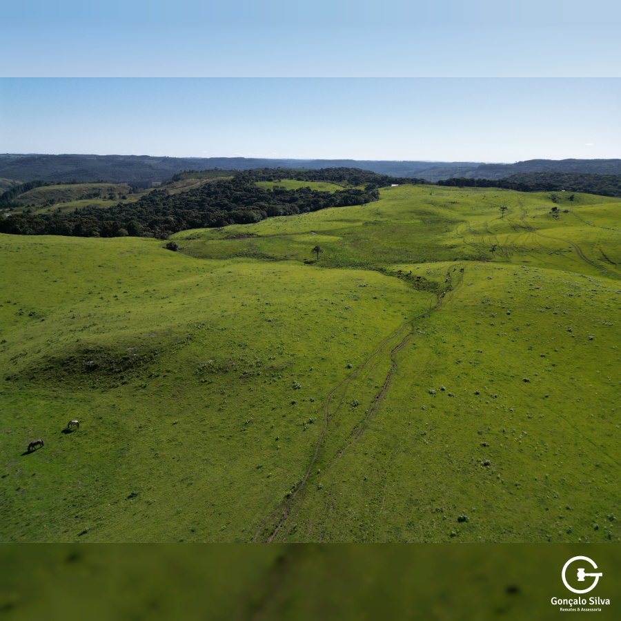 Fazenda com 223 Hectares em São Francisco de Paula