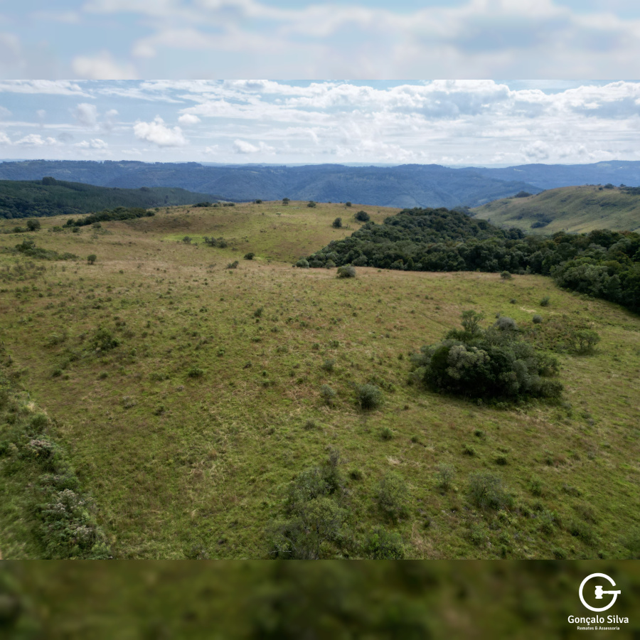 Área de 450 Hectares em Jaquirana