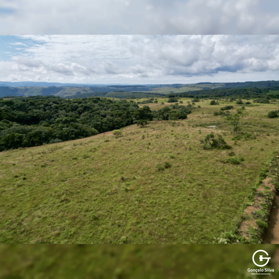 Área de 450 Hectares em Jaquirana