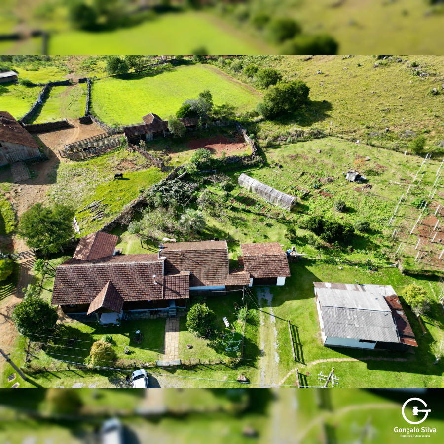 Fazenda com 277 Hectares em São Francisco de Paula