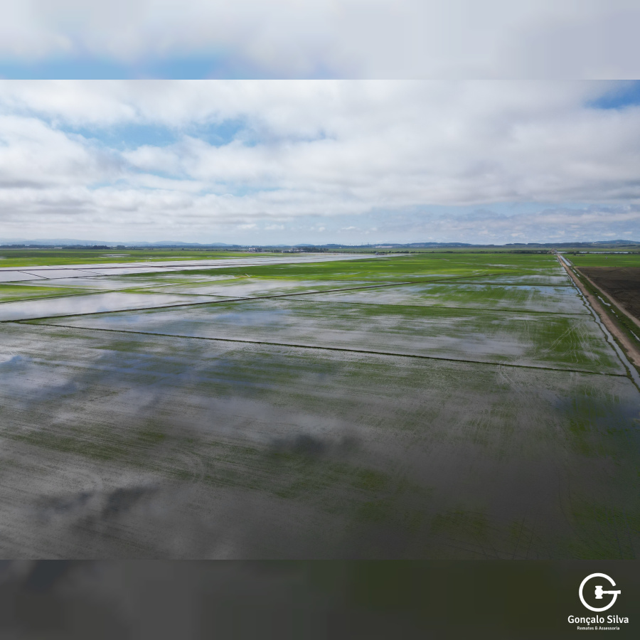 Área com 223 Hectares em Eldorado do Sul