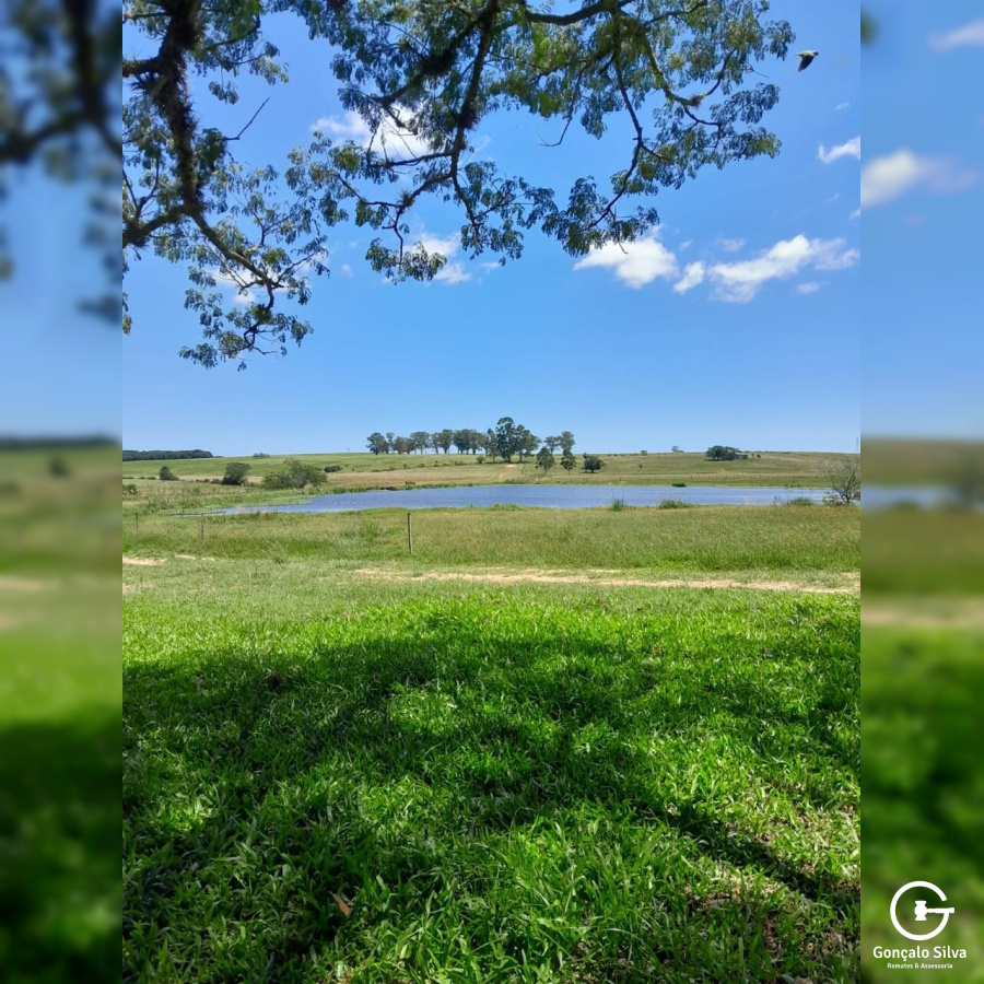 Fazenda com 98 hectares em Viamão, Águas Claras