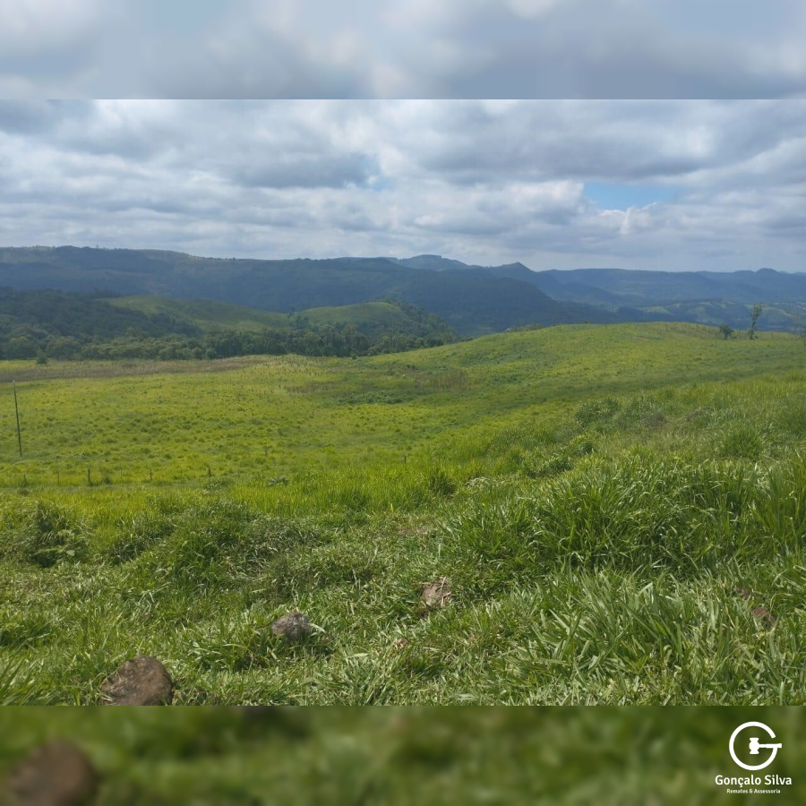 Fazenda no Paraná com 332 Hectares