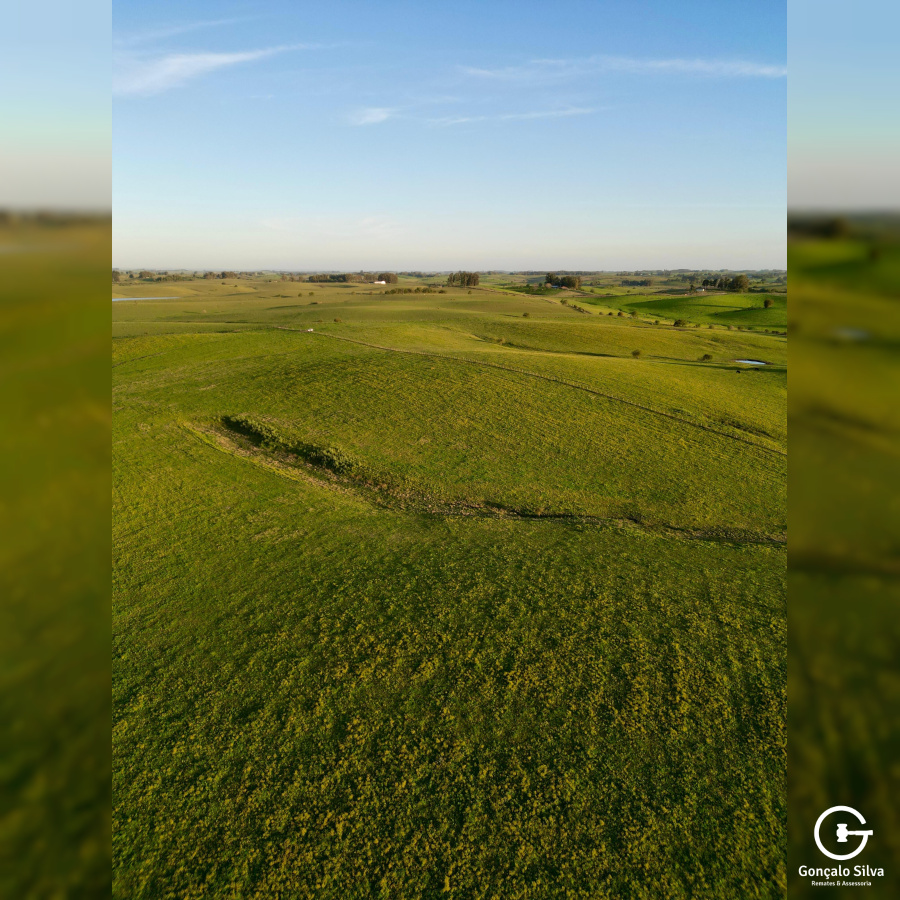 Fazenda com 410 Hectares em Bagé
