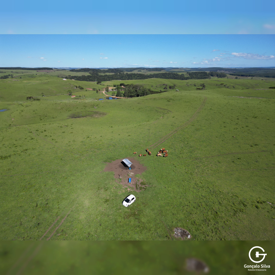 Fazenda com 223 Hectares em São Francisco de Paula