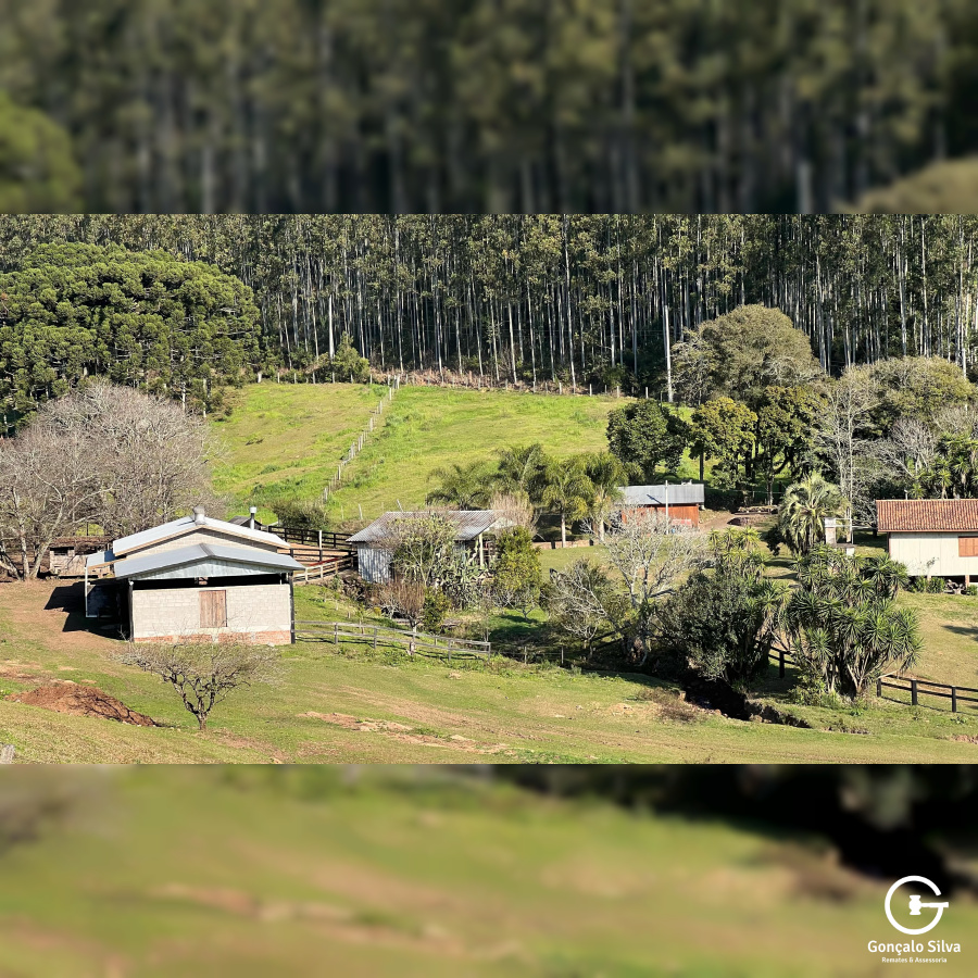 Propriedade Rural com 24 Hectares na Serra Gaúcha
