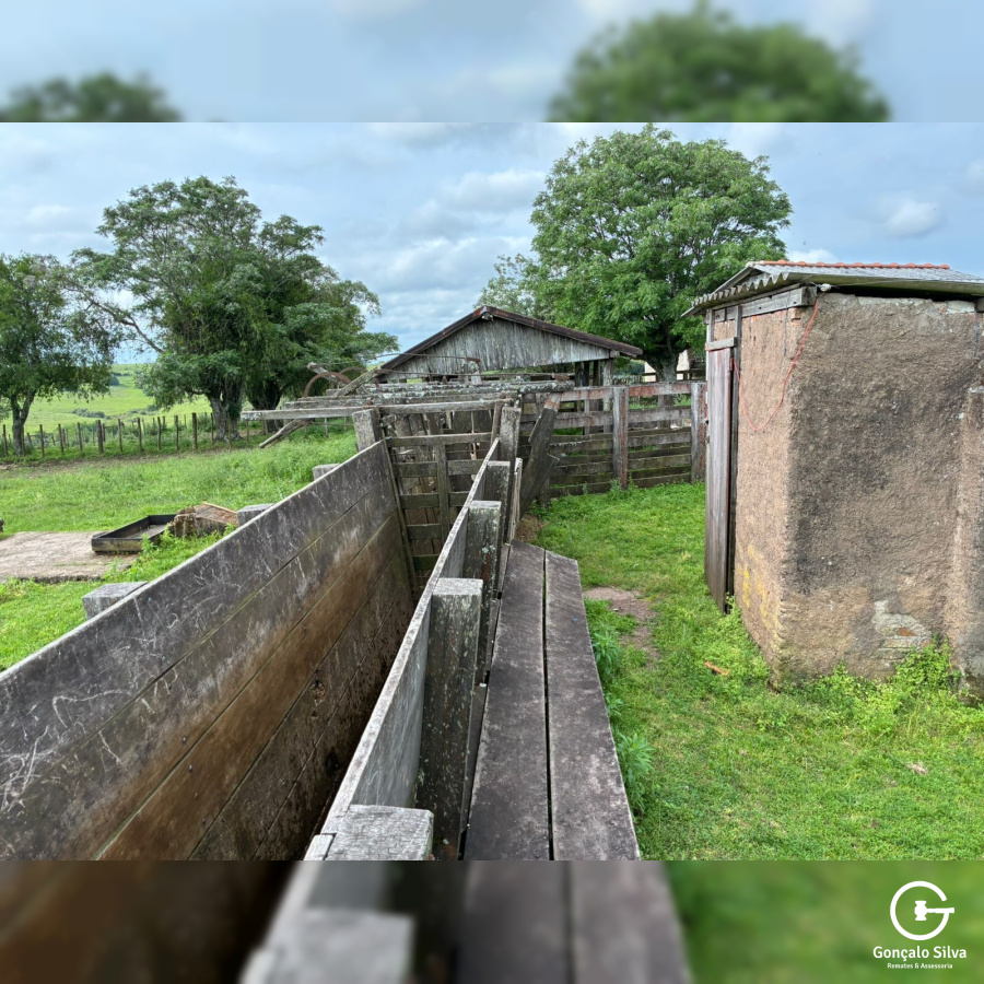 Fazenda com 1.300 Hectares região da Fronteira