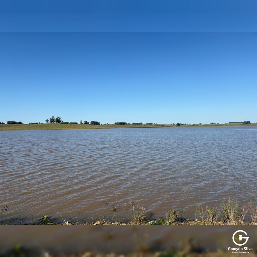 Fazenda com 360 Hectares em Candiota/Bagé