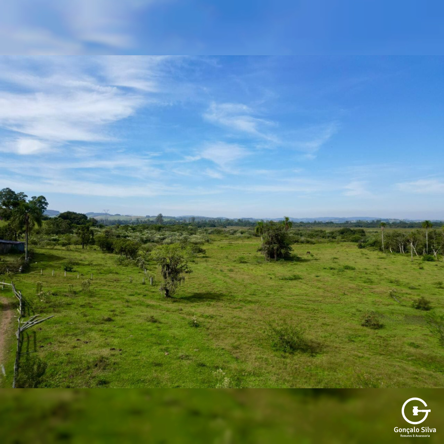 Sítio com 42 Hectares em Campo Bom