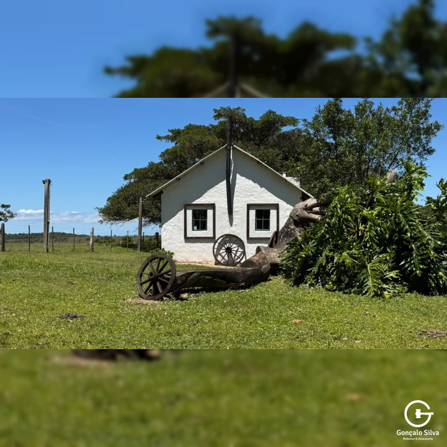 Fazenda com 97 Hectares, com estrutura para cabanha a 1H de POA