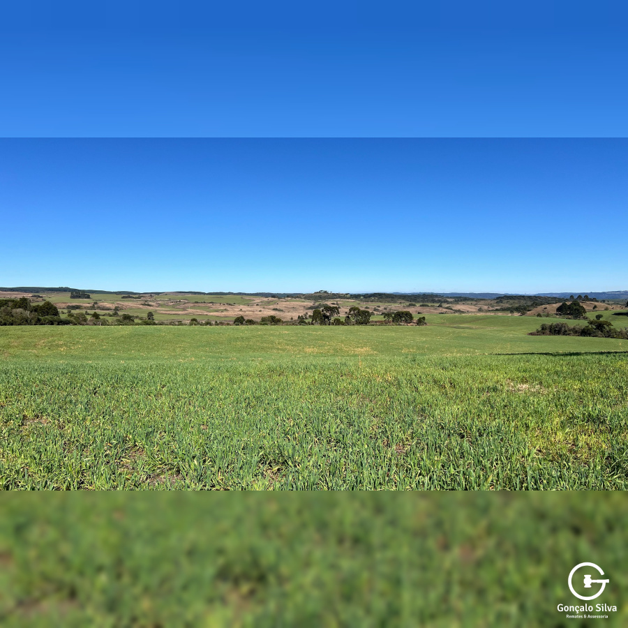 Área Rural com 535 Hectares em Santa Catarina.