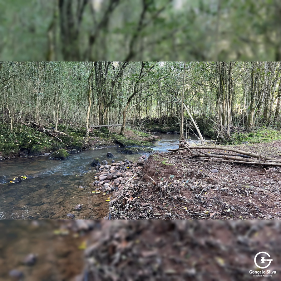 Propriedade Rural com 24 Hectares na Serra Gaúcha