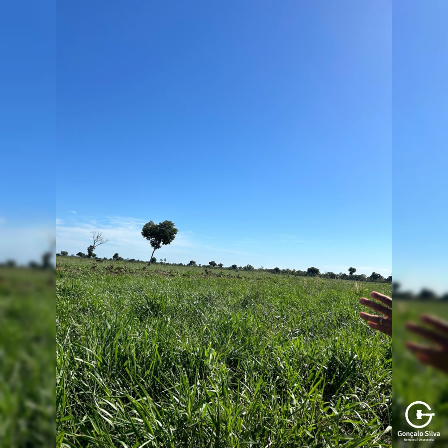 Fazenda com 5.022 Hectares em Aquidauna