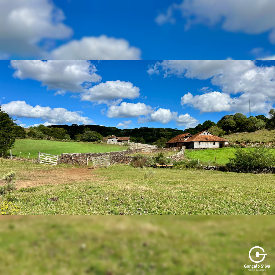 Fazenda com 277 Hectares em São Francisco de Paula