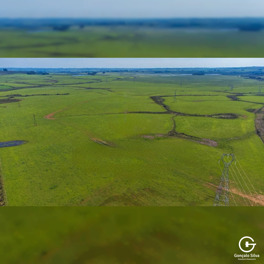 Fazenda com 900 Hectares em Candiota
