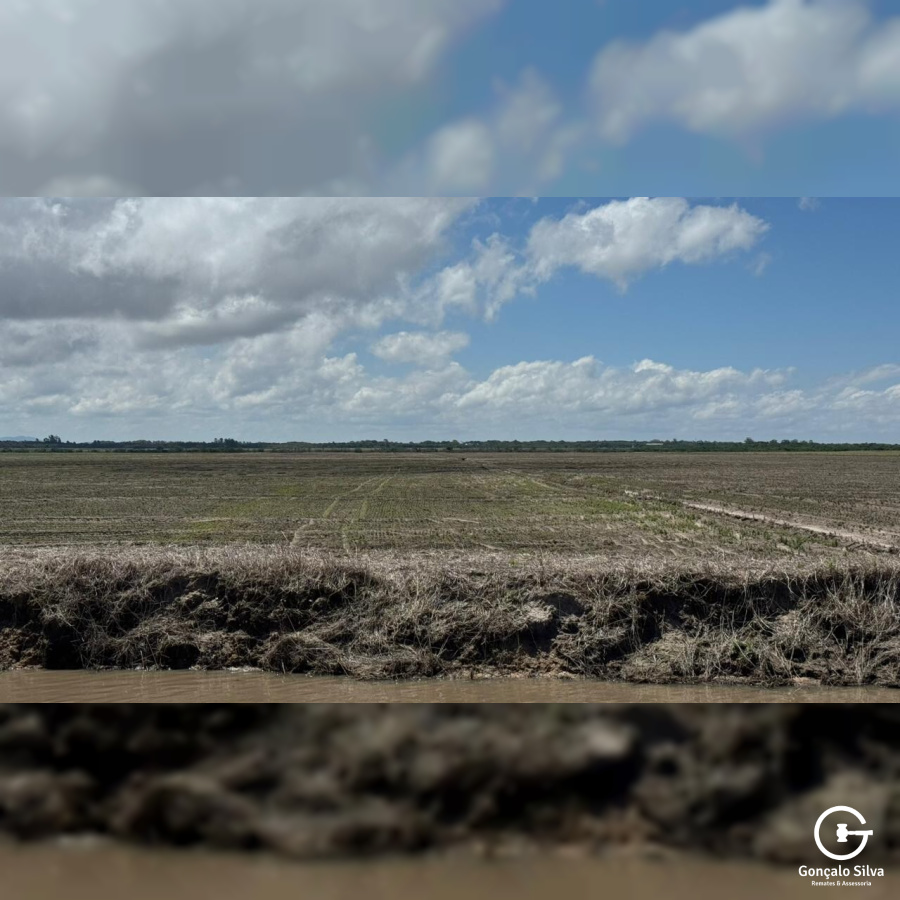 Área Rural com 132 Hectares em Tapes