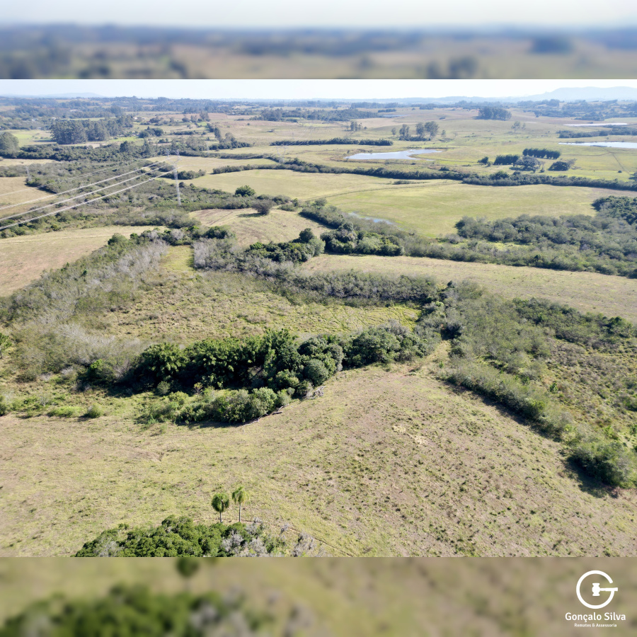 Fazenda com 140 Hectares na região de Glórinha