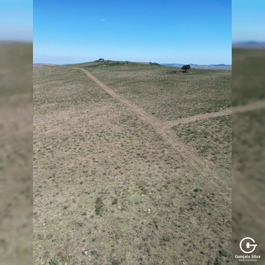 160 Hectares em Bom Jardim da Serra/SC