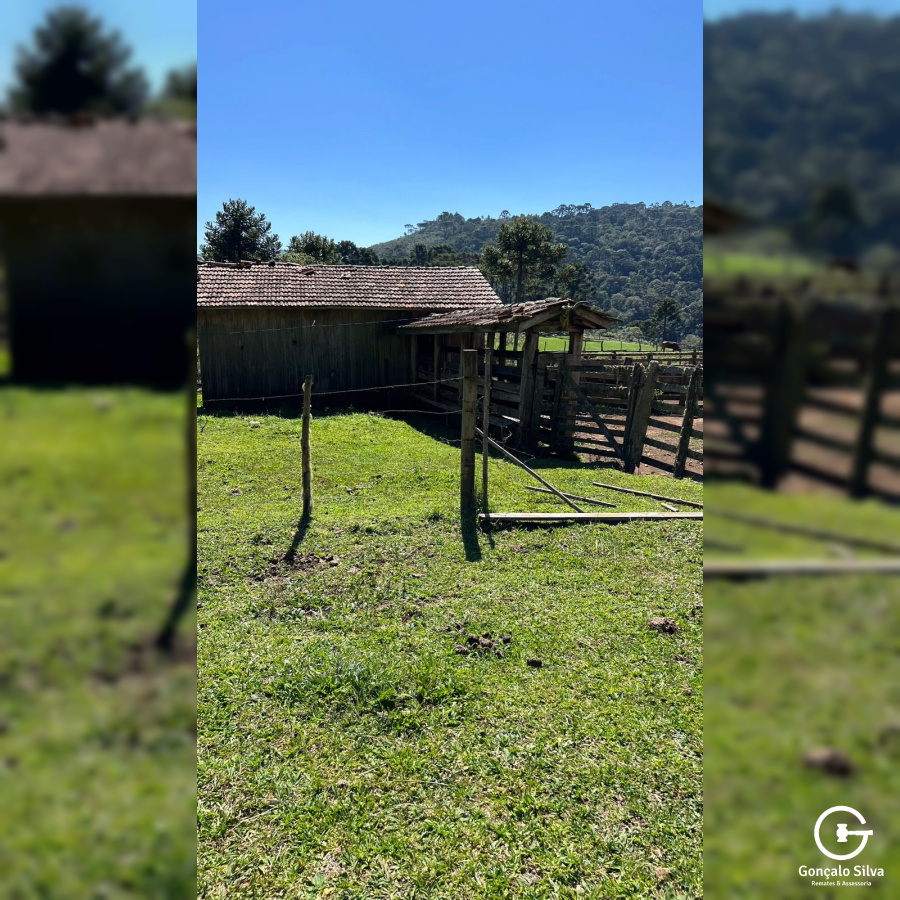 160 Hectares em Bom Jardim da Serra/SC