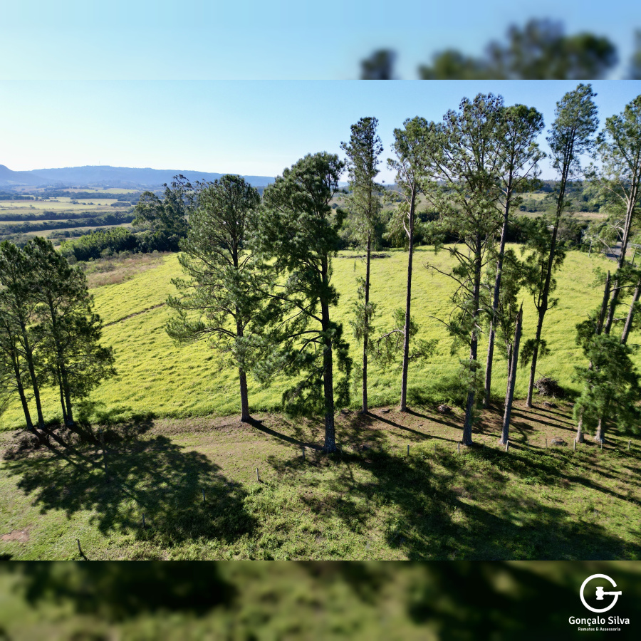 Fazenda com 140 Hectares na região de Glórinha