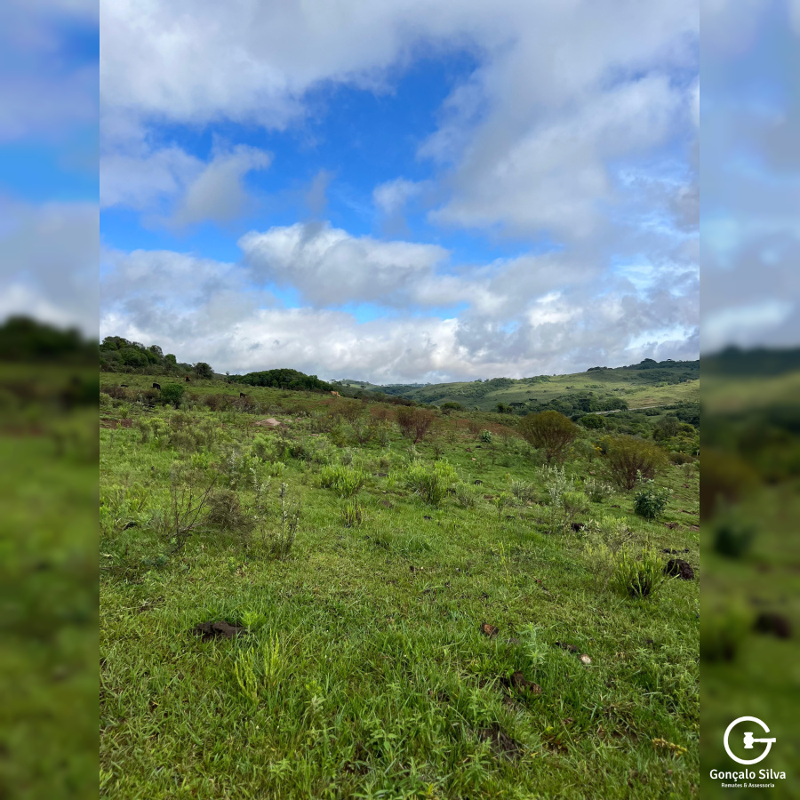 Área de 91 Hectares em Vacaria