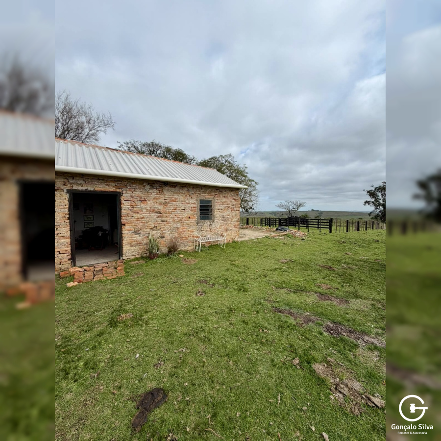 Área rural com 115 Hectares em Pinheiro Machado
