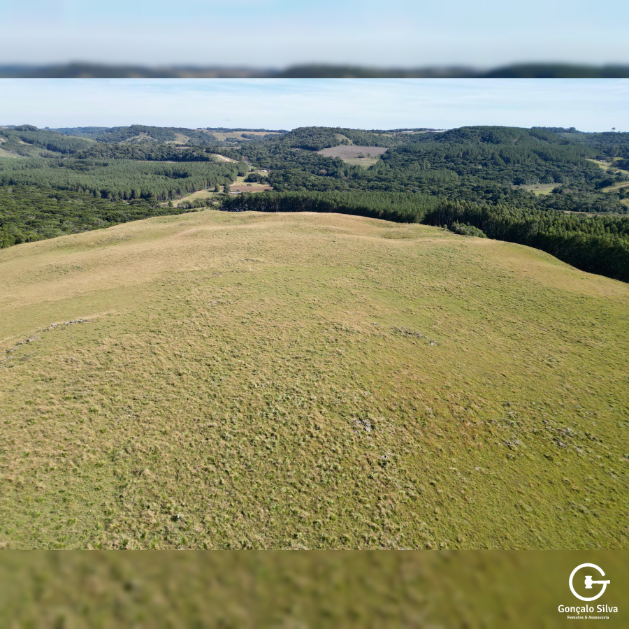 Fazenda com 425 Hectares em Caxias do Sul