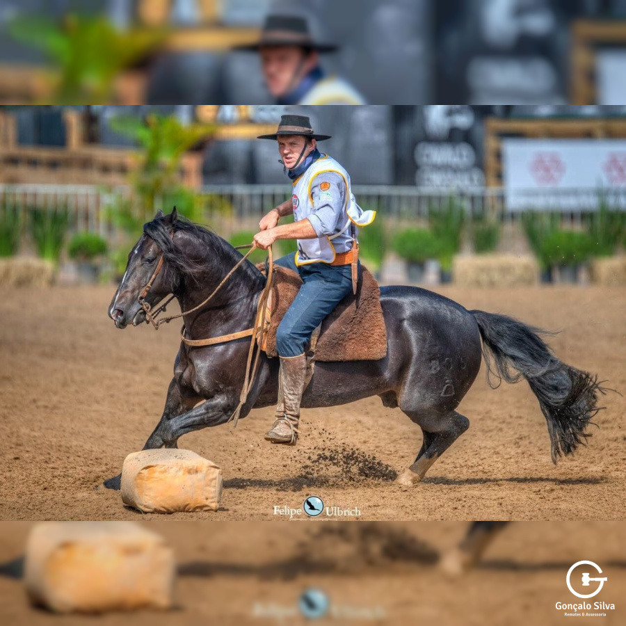 COBERTURAS CAMPANA ECHO A MANO