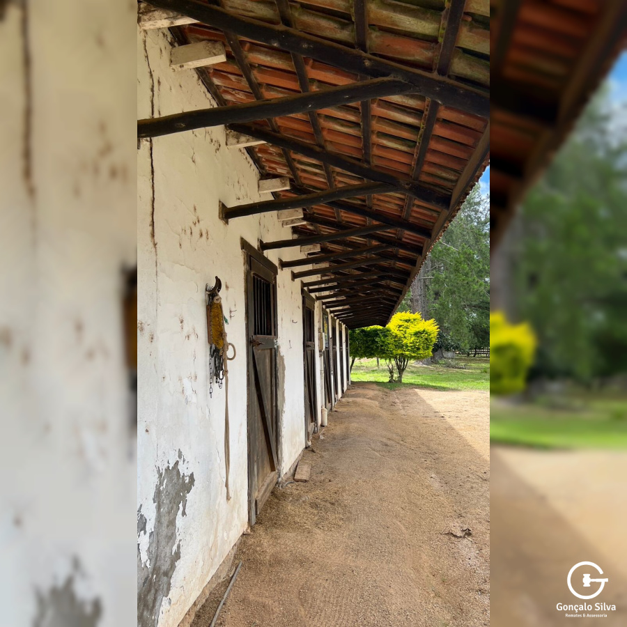 Área para Cabanha ou Centro de Treinamento