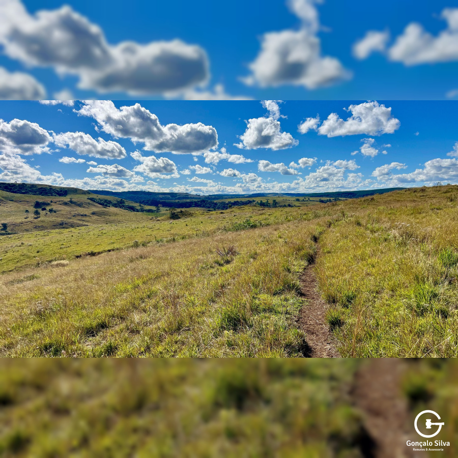 Fazenda com 277 Hectares em São Francisco de Paula