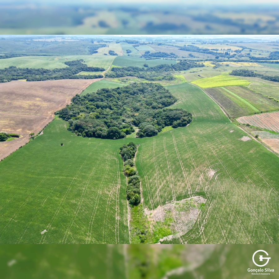 Área Rural com 64 Hectares em Guaíba