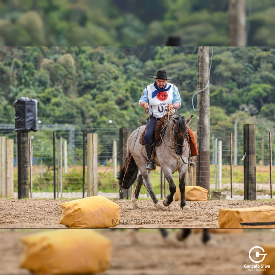 FILHO DE FERIADO DE SANTA EDWIGES 
