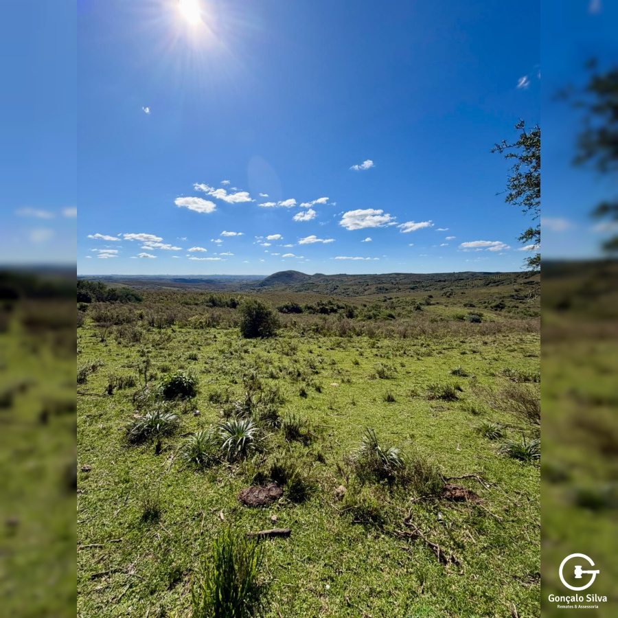 Área rural com 115 Hectares em Pinheiro Machado