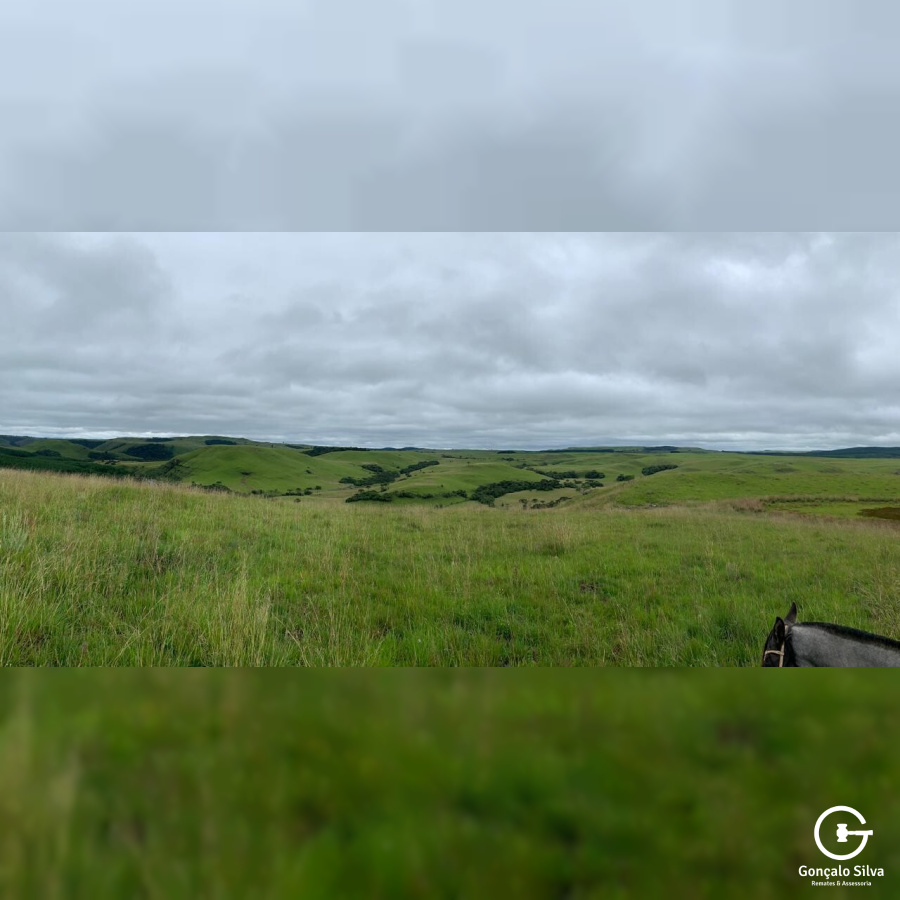Fazenda com 800 Hectares em Jaquirana