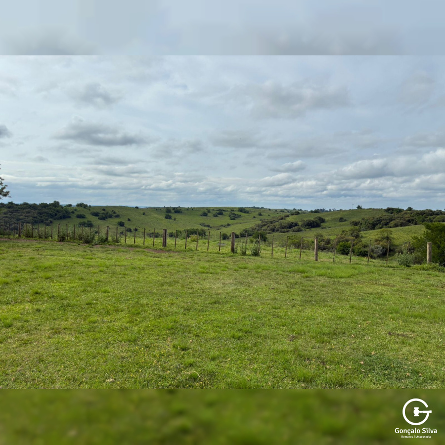 Fazenda com 1.300 Hectares região da Fronteira