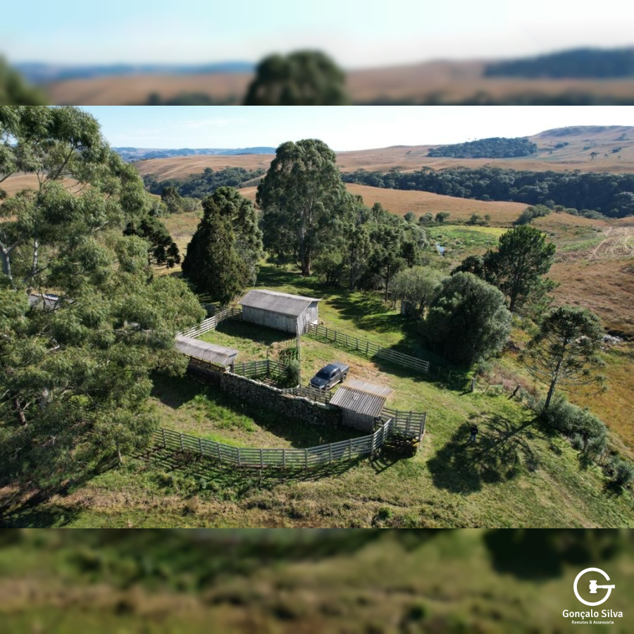 Fazenda com 800 Hectares em Jaquirana