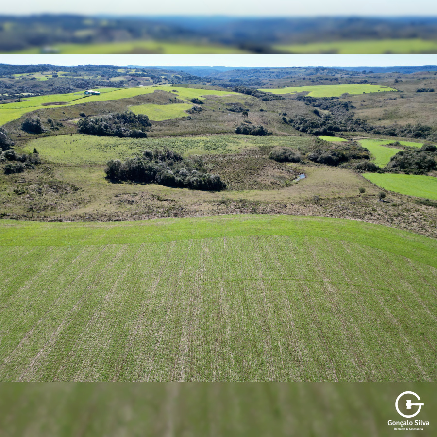 Área Rural com 90 Hectares em Esmeralda