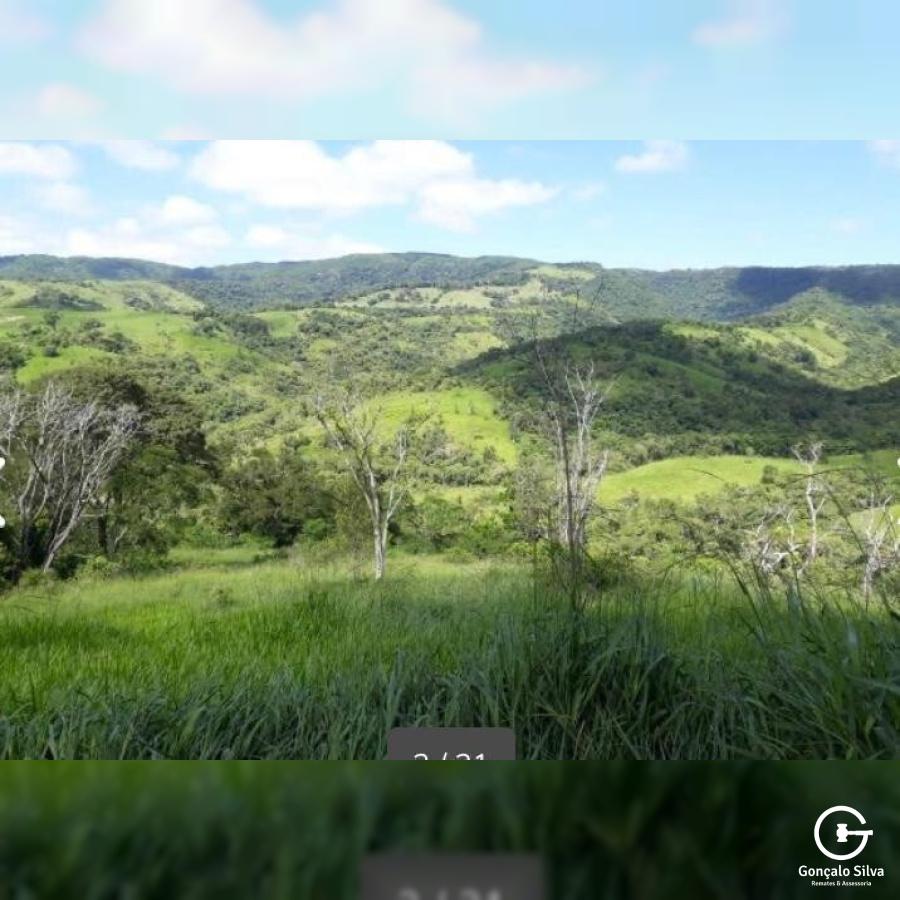 Fazenda no Paraná com 339 Hectares