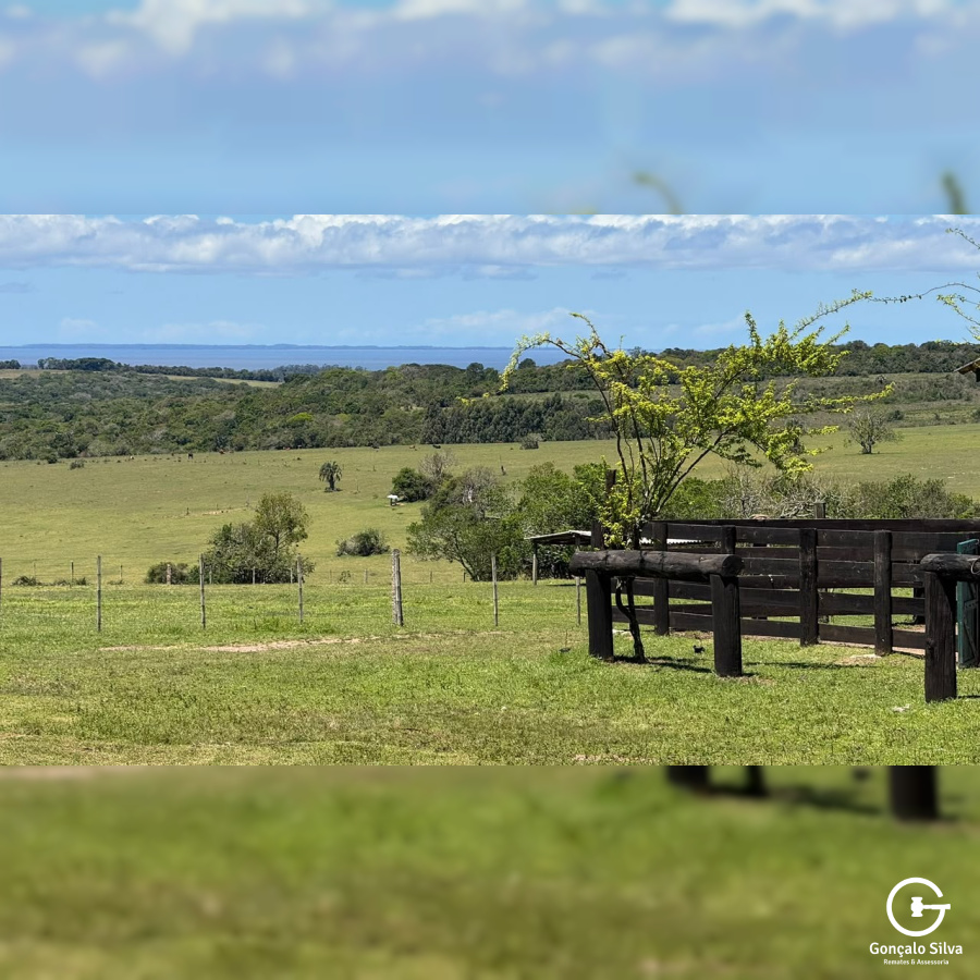 Fazenda com 97 Hectares, com estrutura para cabanha a 1H de POA
