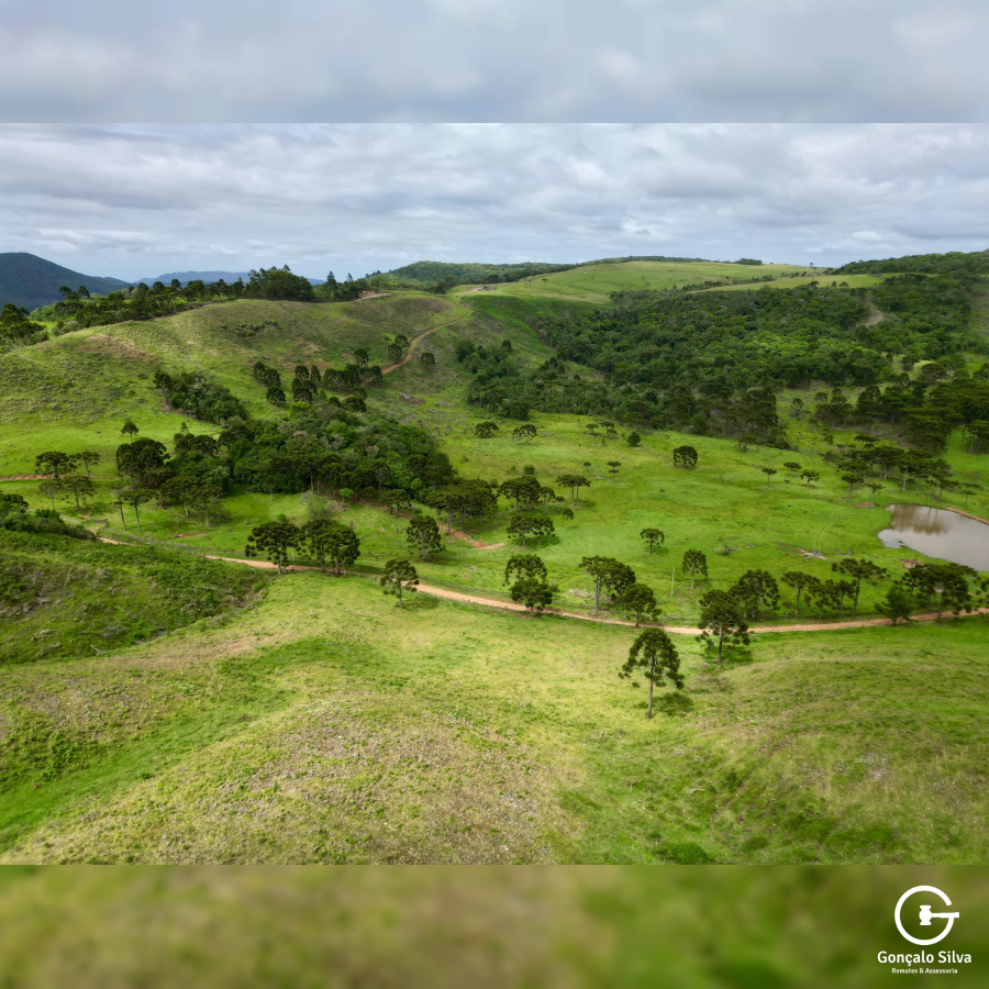 Fazenda de 445 Hectares em Riozinho