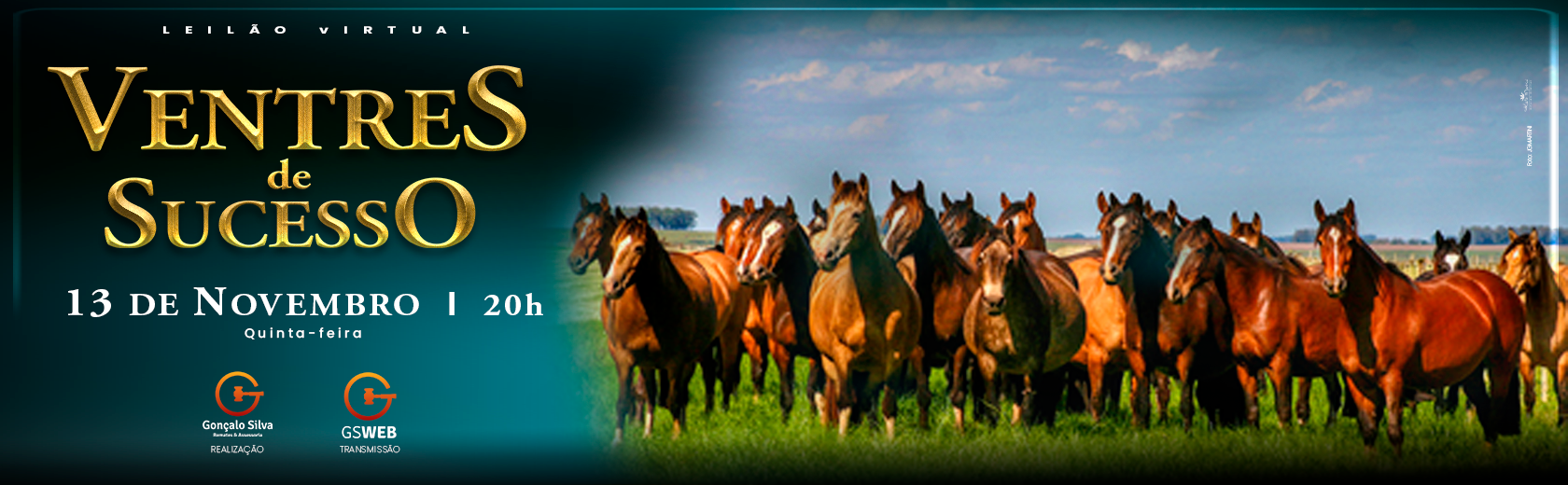VENTRES DE SUCESSO