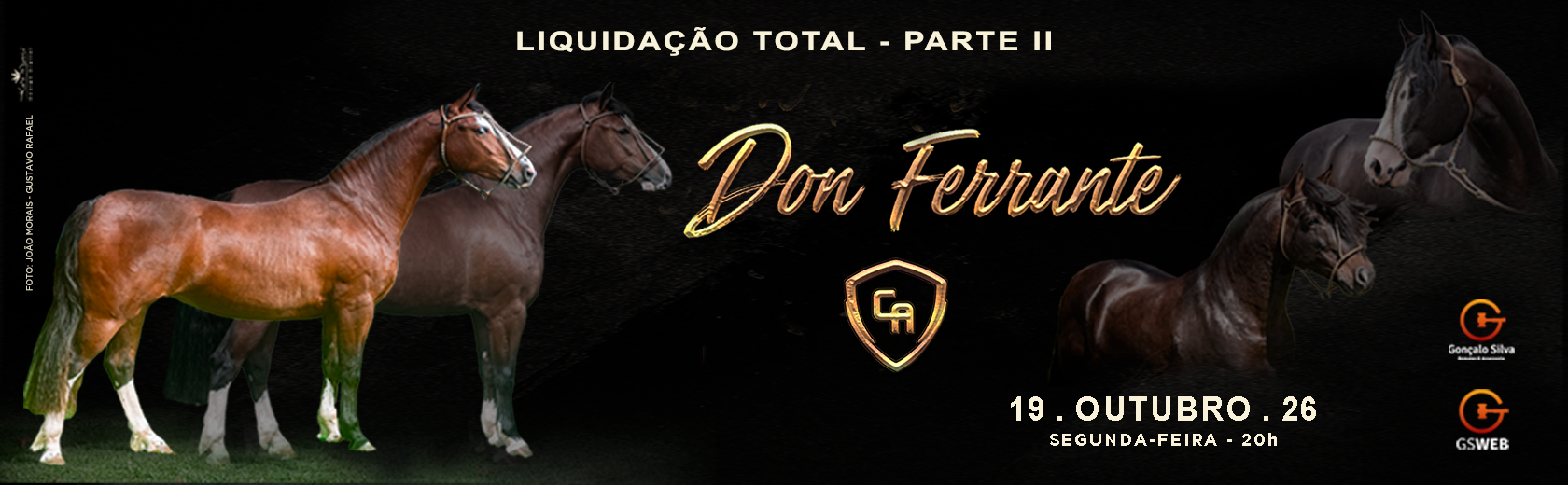 LEILÃO VIRTUAL CABANHA DON FERRANTE - Liquidação Total Parte 2