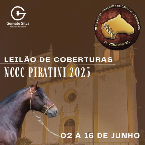 LEILÃO DE COBERTURAS NCCC PIRATINI 2025